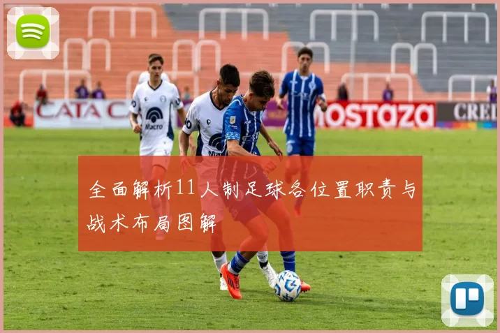 全面解析11人制足球各位置职责与战术布局图解